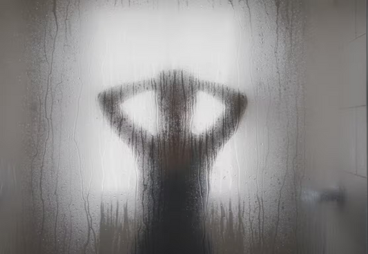The Power of Shower in 2026