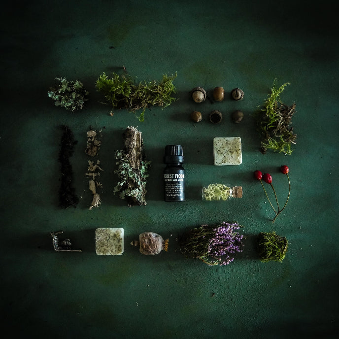 Collection of natural items including plants, stones, and a bottle on a textured green surface