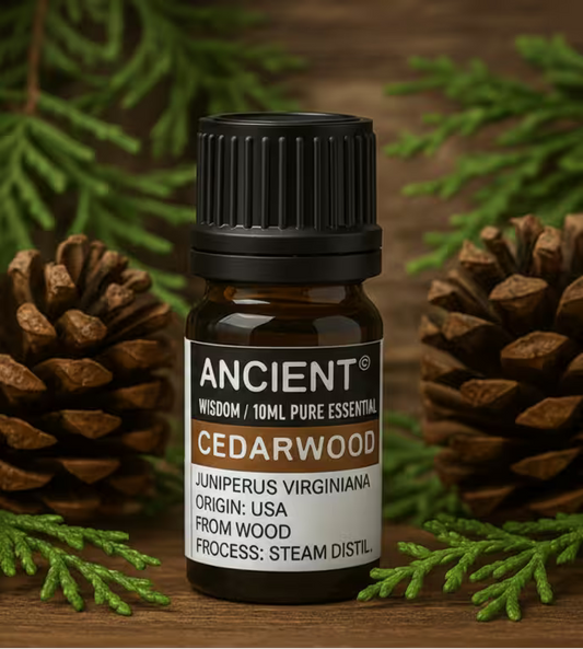 Bottle of Ancient Wisdom Cedarwood essential oil with pine cones and greenery on a wooden background